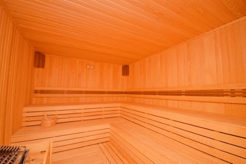 1+1 Wohnung  in Alanya, Antalya, Türkei Nr. 216474 - 28