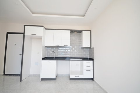 1+1 Wohnung  in Alanya, Antalya, Türkei Nr. 216474 - 10