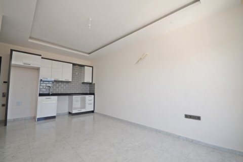1+1 Wohnung  in Alanya, Antalya, Türkei Nr. 216474 - 9