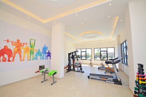 1+1 Wohnung  in Alanya, Antalya, Türkei Nr. 216474 - 23