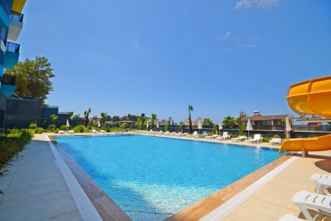 1+1 Wohnung  in Alanya, Antalya, Türkei Nr. 216474 - 27