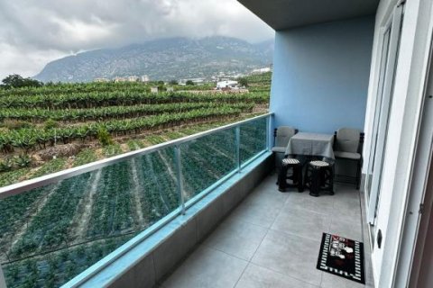 Wohnung  in Mahmutlar, Antalya, Türkei Nr. 212517 - 12