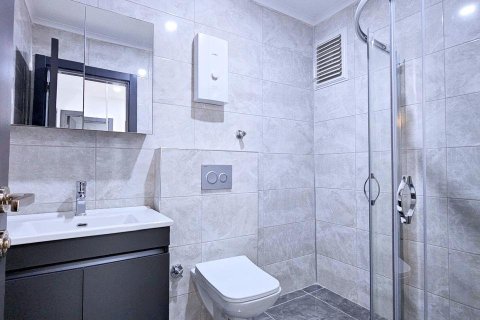 2+0 Lägenhet i Mahmutlar, Antalya, Turkiet Nr. 224998 - 15