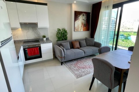 1+1 Lejlighed  i Alanya, Antalya, Tyrkiet Nr. 221327 - 17