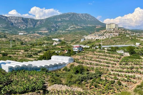 1+1 Lejlighed  i Alanya, Antalya, Tyrkiet Nr. 221327 - 5