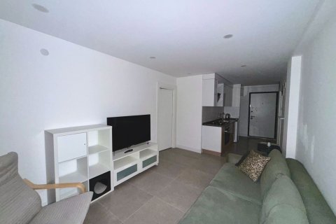 1+1 Apartment in Antalya, Turkey No. 238084