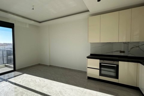 آپارتمان در Alanya ، ترکیه 53 متر مربع. شماره 94803 - 23