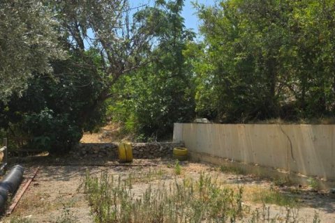 Villa  in Gazipasa, Antalya, Türkei Nr. 215974 - 23