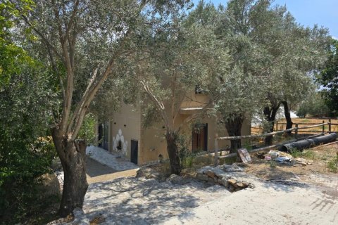 Villa  in Gazipasa, Antalya, Türkei Nr. 215974 - 22