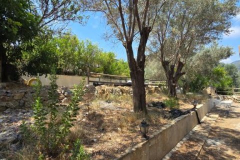 Villa  in Gazipasa, Antalya, Türkei Nr. 215974 - 27