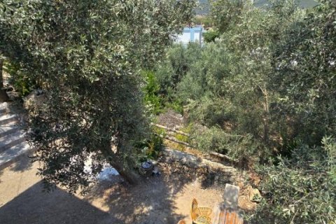 Villa  in Gazipasa, Antalya, Türkei Nr. 215974 - 30