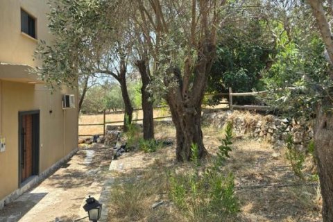 Villa  in Gazipasa, Antalya, Türkei Nr. 215974 - 26