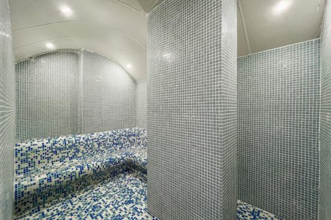 3+1 Lägenhet i Mahmutlar, Antalya, Turkiet Nr. 217411 - 22