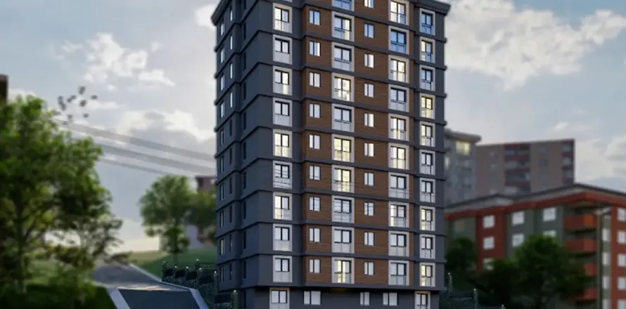 Daire İstanbul, Türkiye №217095