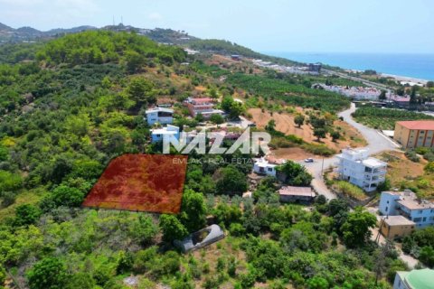 Продажа квартиры  в Аланье, Анталье, Турция, 1000м2, №211267 – фото 5