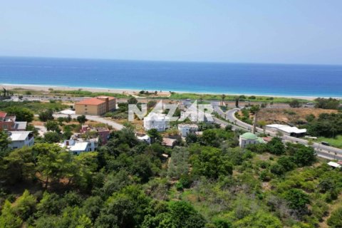Продажа квартиры  в Аланье, Анталье, Турция, 1000м2, №211267 – фото 10