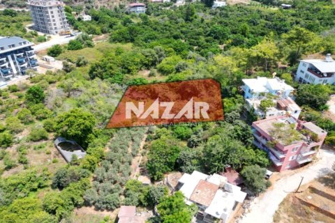 Продажа квартиры  в Аланье, Анталье, Турция, 1000м2, №211267 – фото 11