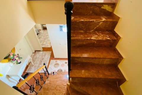 5+1 Lägenhet i Mahmutlar, Antalya, Turkiet Nr. 214722 - 12