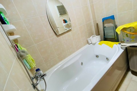 5+1 Lägenhet i Mahmutlar, Antalya, Turkiet Nr. 214722 - 20
