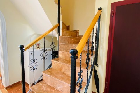 5+1 Lägenhet i Mahmutlar, Antalya, Turkiet Nr. 214722 - 48