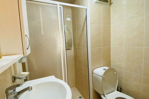 5+1 Lägenhet i Mahmutlar, Antalya, Turkiet Nr. 214722 - 51