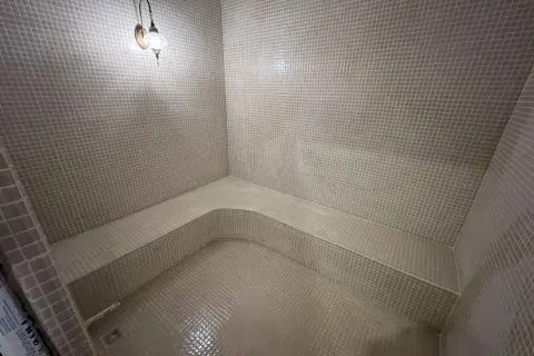 3+1 Lägenhet i Kestel, Antalya, Turkiet Nr. 219509 - 12