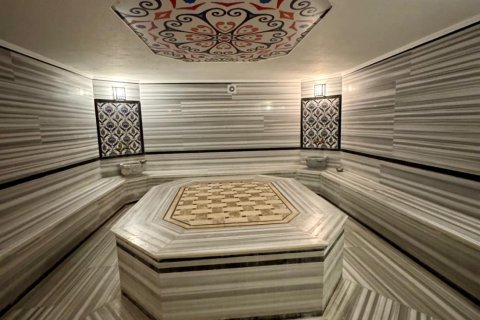 Daire  2+1  Alanya, Antalya, Türkiye №216823 - 14