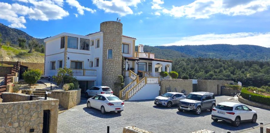 Villa  7+1  Bahçeli, Girne,  №214520