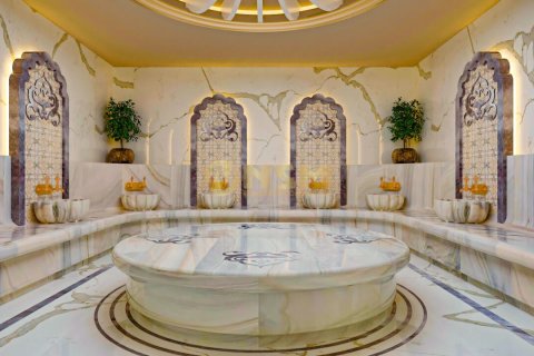 1+1 Lejlighed  i Alanya, Antalya, Tyrkiet Nr. 92234 - 23