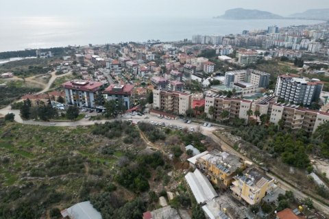 Tömma  i Kestel, Antalya, Turkiet Nr. 93528 - 5