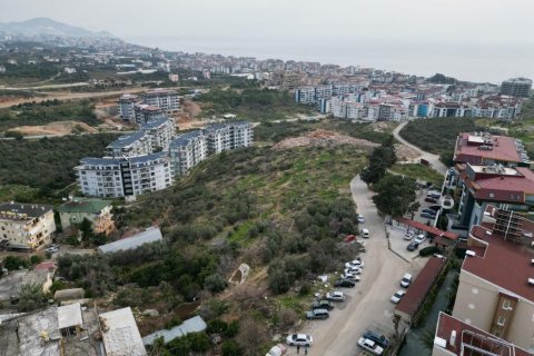 Tömma  i Kestel, Antalya, Turkiet Nr. 93528 - 3