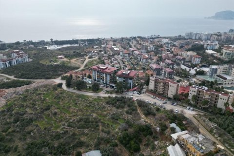 Tömma  i Kestel, Antalya, Turkiet Nr. 93528 - 6