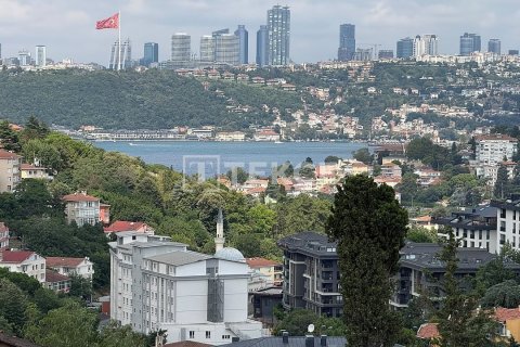 4+1 Apartment in Istanbul, Turkey No. 228951