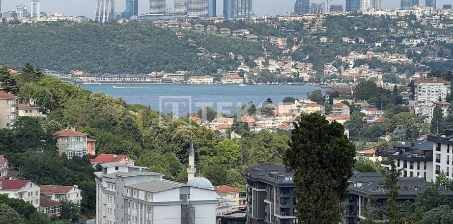 4+1 Apartment  in Istanbul, Turkey No. 228951