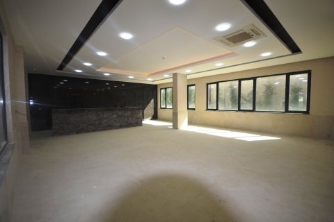 3+1 Lägenhet i Alanya, Antalya, Turkiet Nr. 156796 - 13
