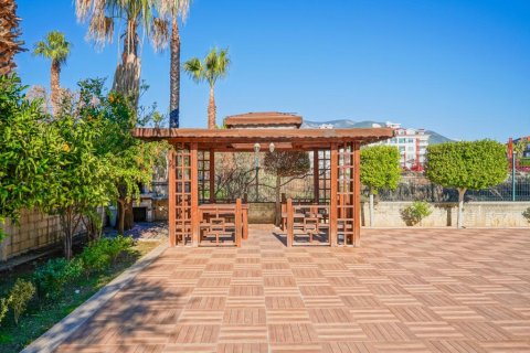 Lägenhet i Kestel, Antalya, Turkiet Nr. 226115 - 19