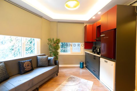 2+1 Lejlighed i Beyoglu, Istanbul, Tyrkiet Nr. 226755 - 4