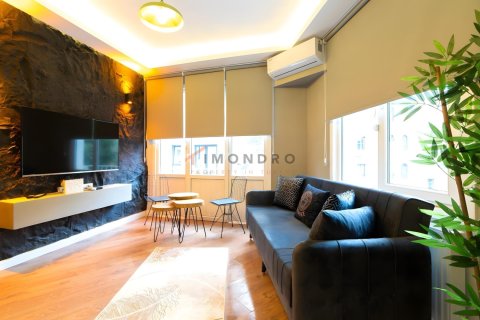 آپارتمان در Beyoglu،  Istanbul ، ترکیه 2 خوابه ، 50 متر مربع.  شماره 226755
