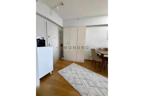 1+1 Leilighet i Küçükçekmece, Istanbul, Tyrkia Nr. 224148 - 10