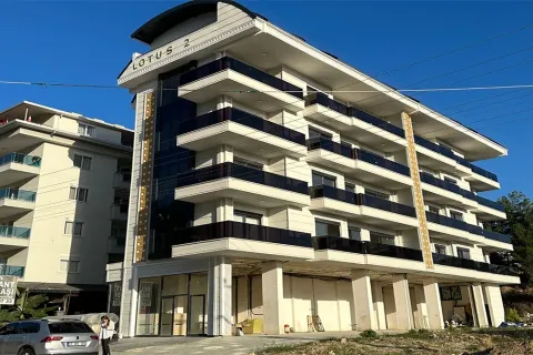 1+1 Lejlighed  i Alanya, Antalya, Tyrkiet Nr. 223571 - 20