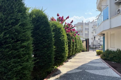 آپارتمان در Antalya ، ترکیه 1 خوابه ، 20 متر مربع. شماره 238021 - 15