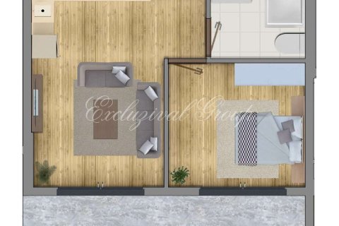 1+1 Lägenhet i Didim, Aydin, Turkiet Nr. 212858 - 9