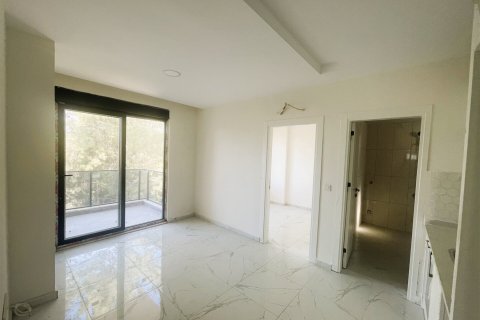 Продажа квартиры в Аланье, Анталье, Турция 1+1, 50м2, №237699 – фото 11
