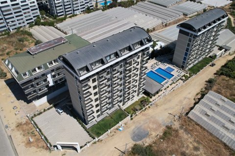 1+1 Wohnung  in Alanya, Antalya, Türkei Nr. 237702 - 5