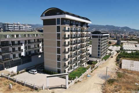 1+1 Wohnung  in Alanya, Antalya, Türkei Nr. 237702 - 3