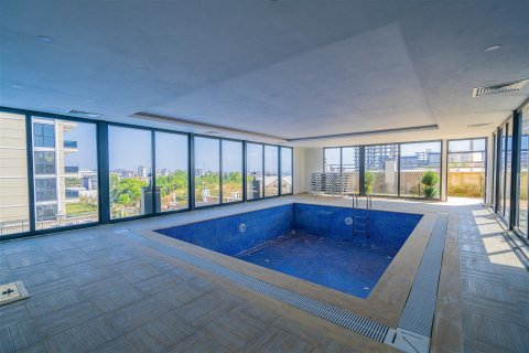 1+1 Wohnung  in Alanya, Antalya, Türkei Nr. 237702 - 26