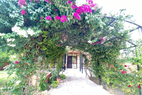 4+1 Villa i Kemer, Antalya, Turkiet Nr. 213031 - 29