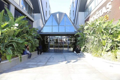 Ofis   Antalya, Türkiye №227717 - 6