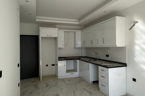 1+1 Apartment  in Alanya, Antalya, Turkey No. 228243