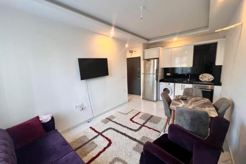 1+1 Apartment  in Alanya, Antalya, Turkey No. 228248